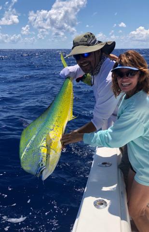 STAR and the Dolphinfish Research Program
